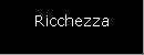 Ricchezza